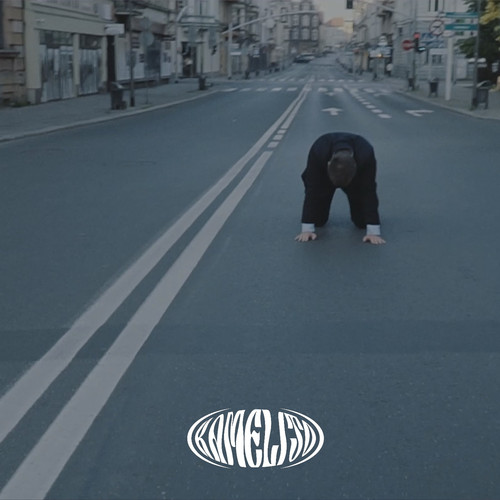 HOMO DUPLEX (Explicit)