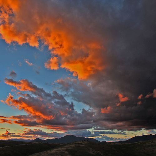 允许一切如其所是