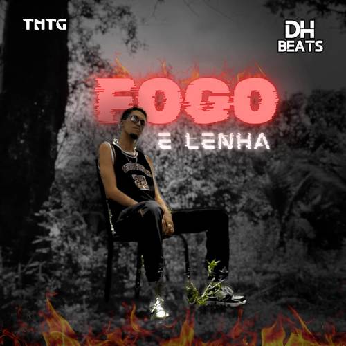 FOGO E LENHA