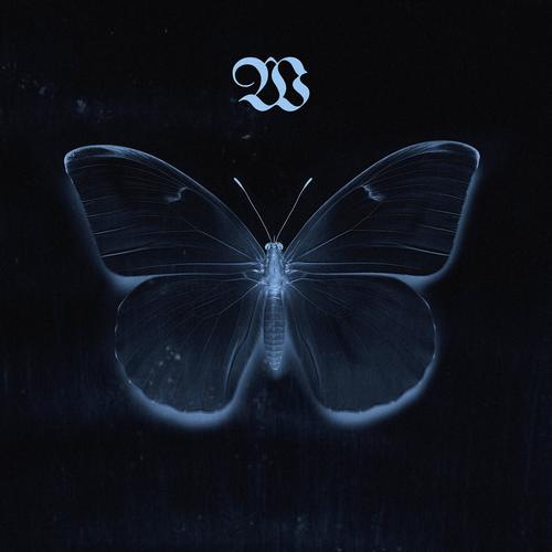 Something Has To Give