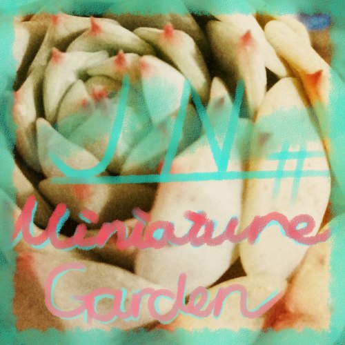 Miniature Garden