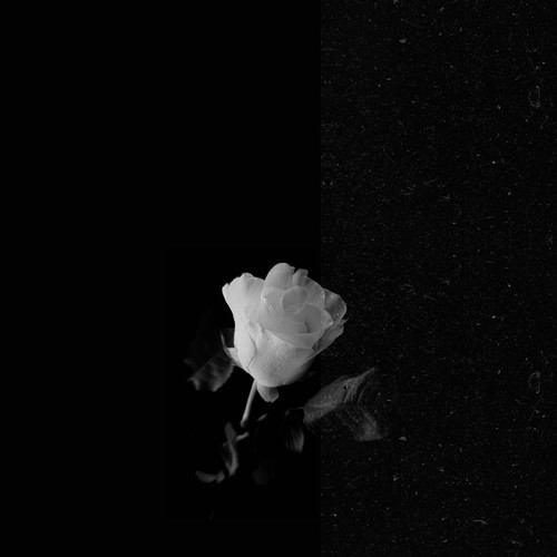 Pain And Power (Explicit)