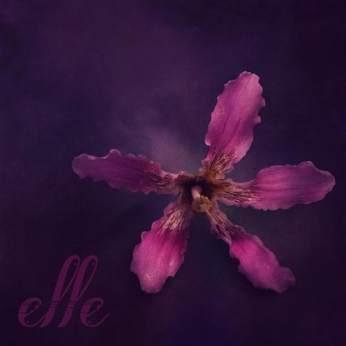 elle