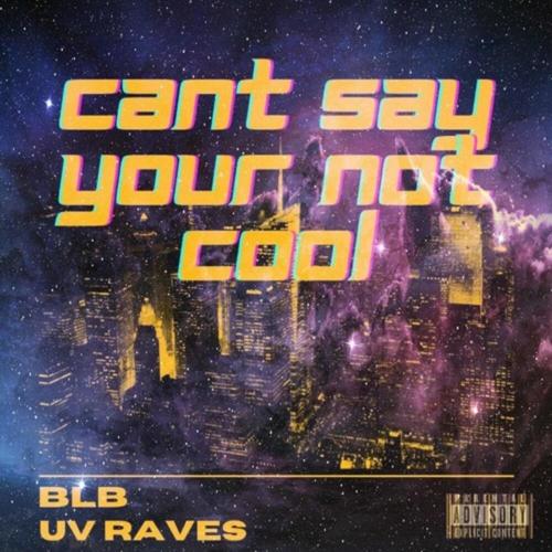 CAN'T SAY YOUR NOT COOL