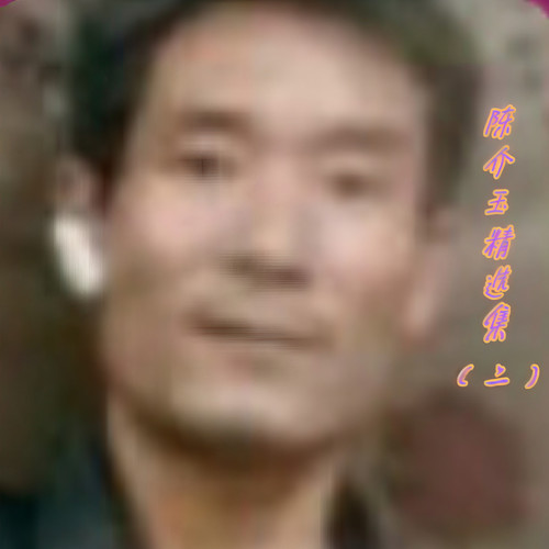 陈介玉精选集（二）