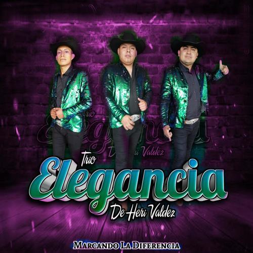 Trio Elegancia D Heri Mix