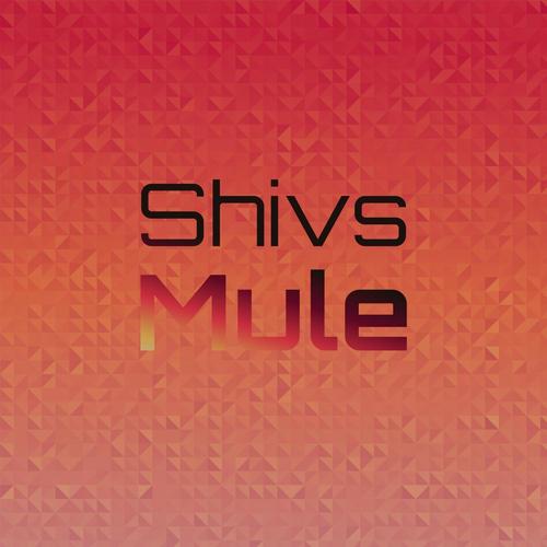 Shivs Mule