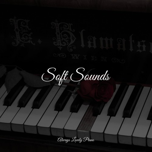 Relaxing and Quiet Listening Sounds