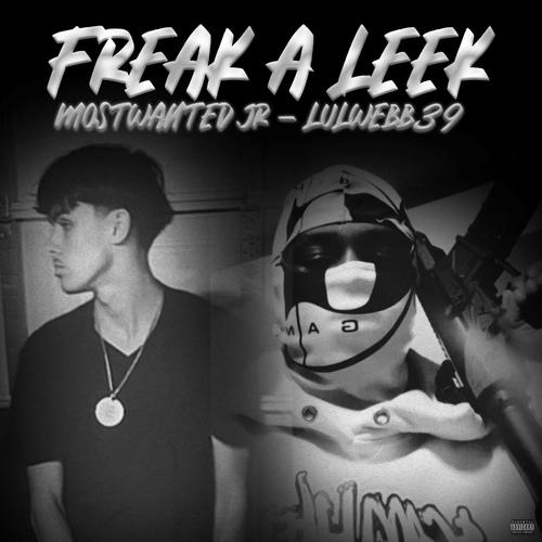 Freak A Leek (feat. Lulwebb39) [Explicit]