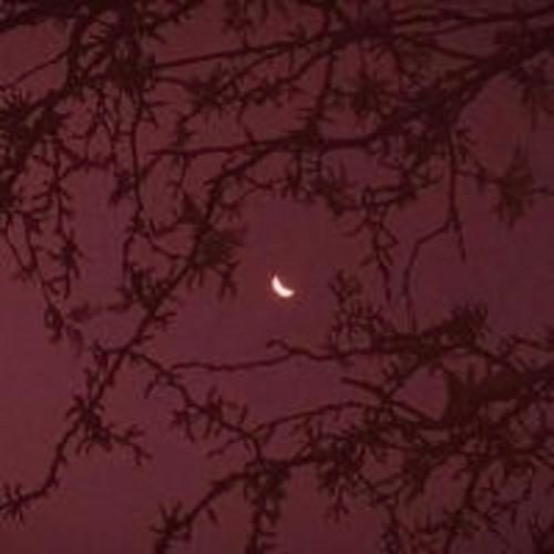 bl00dm00n (feat. PanPan & weo)