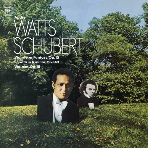 Schubert: 38 Walzer, Ländler & Ecossaises, Piano Sonata No. 14 in A Minor & Fantasie in C Major (安德烈·沃茨演奏舒伯特)