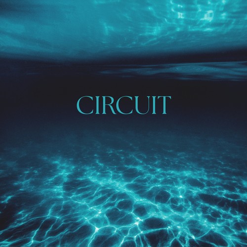 Circuit