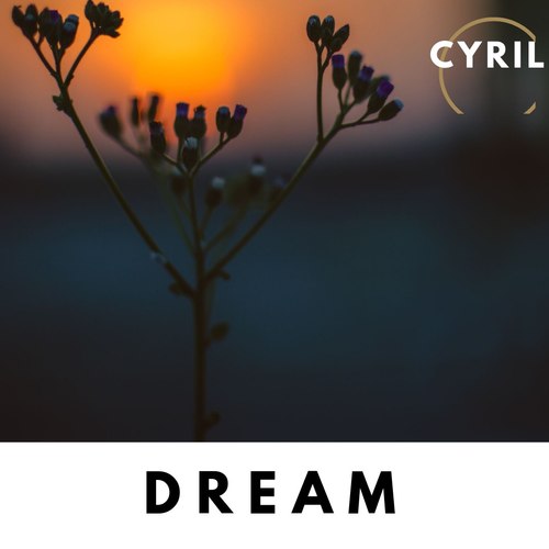 Dream