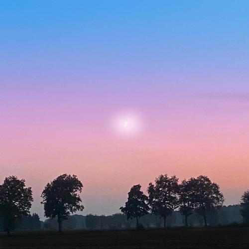 Summer Nights (Wish You Were Here)