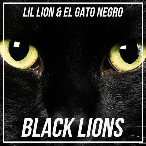 Black Lions