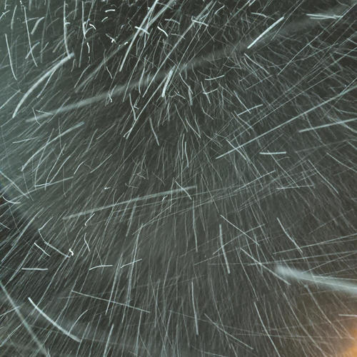 BLIZZARD (feat. iLLiBOi & DAREALMUSH) [Explicit]