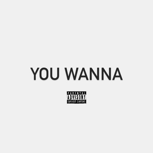 You Wanna (Explicit)