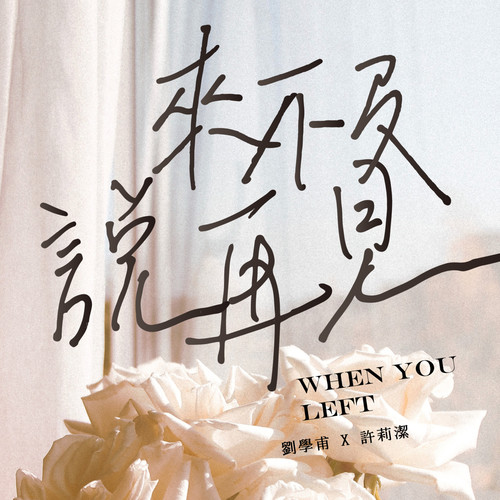 来不及说再见
