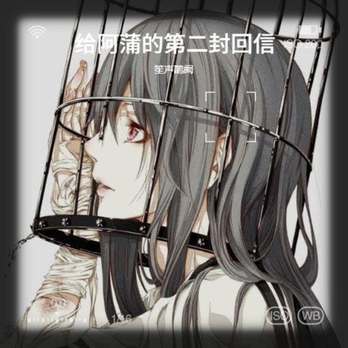 给阿蒲的第二封回信