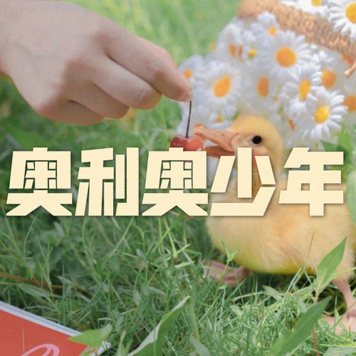 奥利奥少年