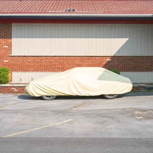 Run Away With A Wild And A Rare One (Explicit)