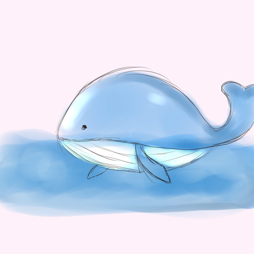 鲸