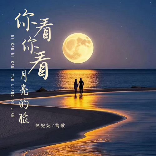 你看你看月亮的脸