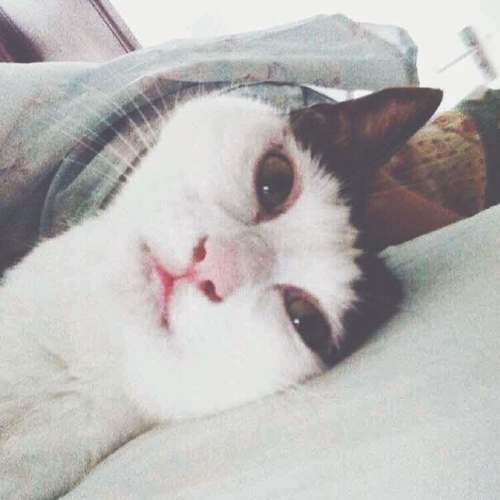 Goodnight