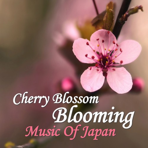 Cherry Blossom Blooming: Music Of Japan