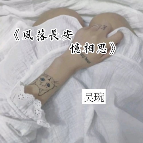 风落长安忆相思