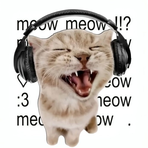 MEOW JAZZ!