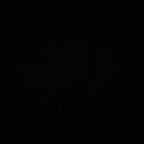 Nico Indeed (Explicit)