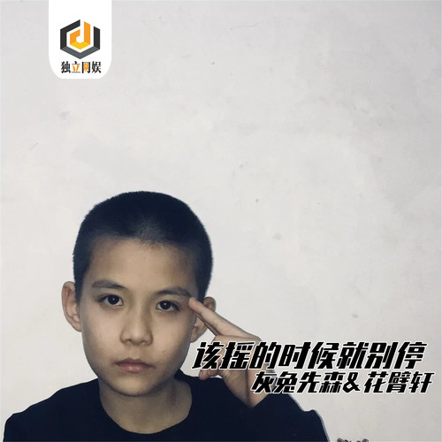 该摇的时候就别停