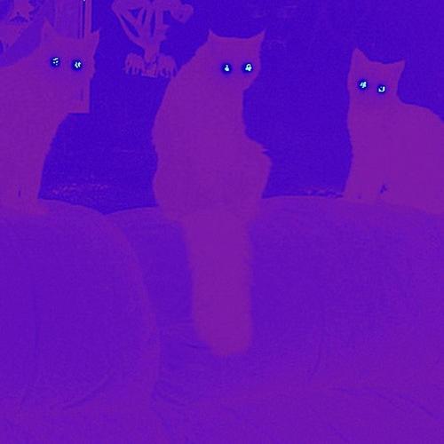 Not So Lucky (feat. pink) [Explicit]