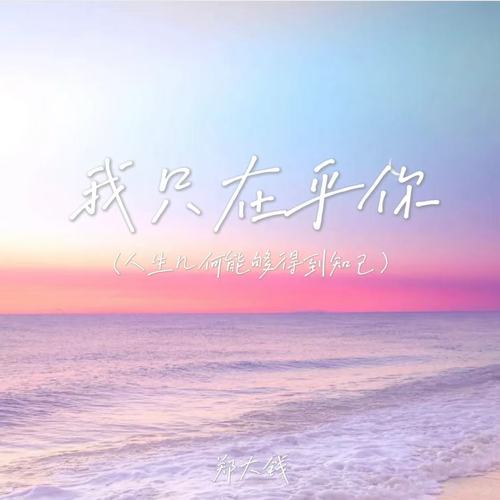 我只在乎你(人生几何能够得到知己)