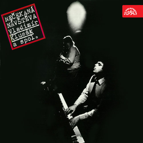 Nečekaná návštěva