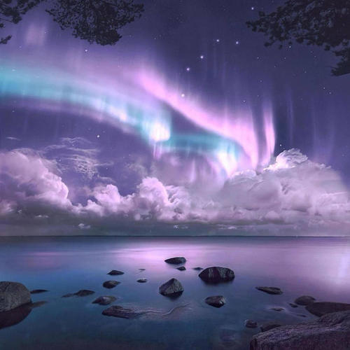 The Hustle (Explicit)