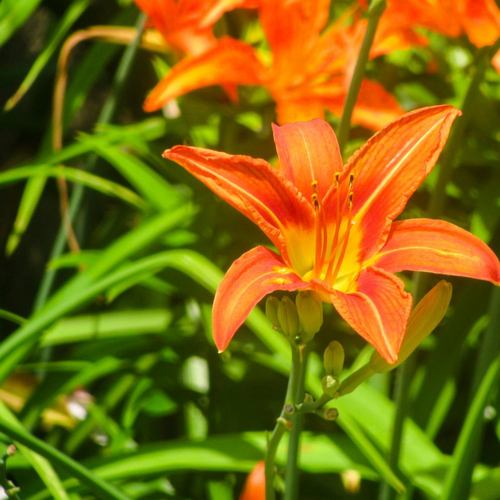 传奇乐坊精选14