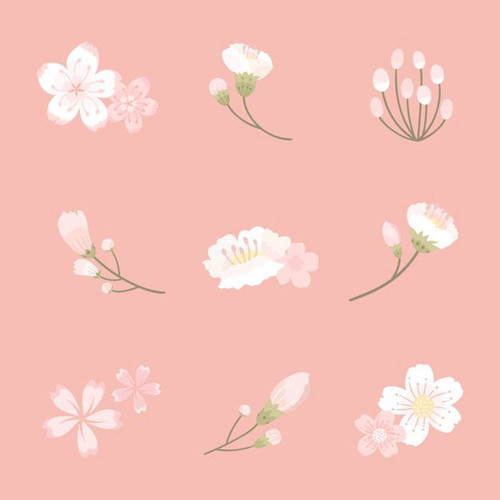 Lovely Sakura