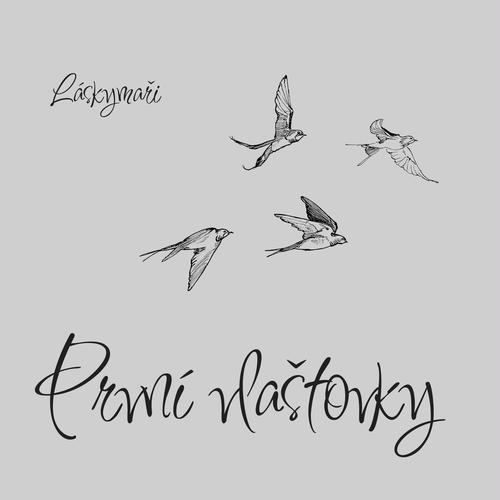 První vlaštovky