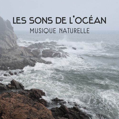 Les sons de l'océan - Musique naturelle pour se détendre, Raisons pour se méditation, Trouvez votre chemin