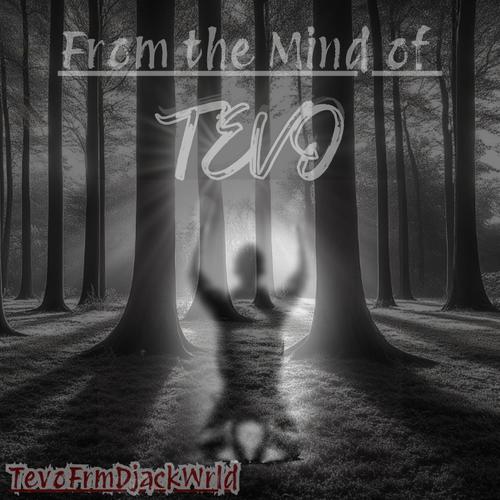From The Mind Of Tevo (Explicit)