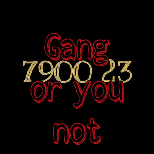Gang or you not (Explicit)