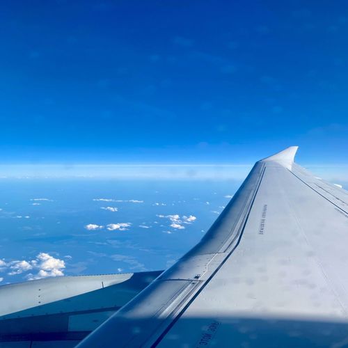 Вкус свободы