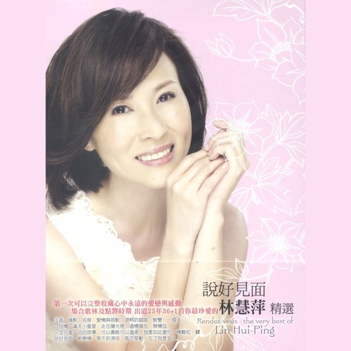 说好见面 林慧萍精选