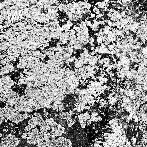 Darkness Found / Limbo (Explicit)