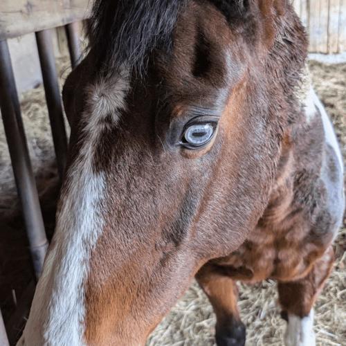 All My Friends Are Crazy!