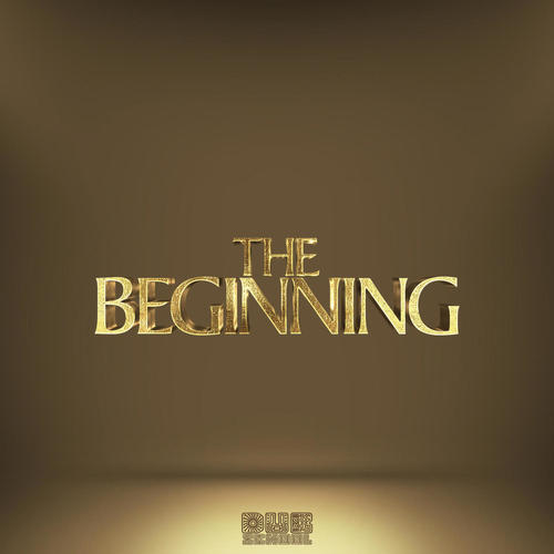 THE BEGINNING