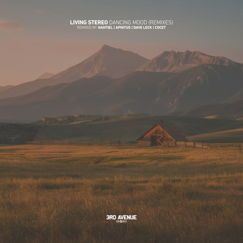 Dancing Mood (Remixes)