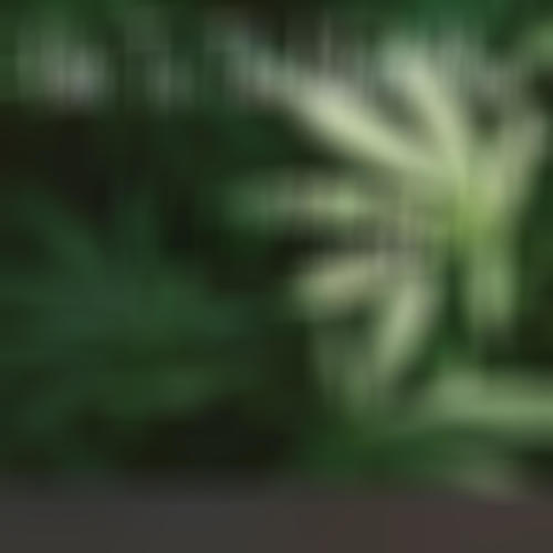 Ode to the ** Man (Explicit)